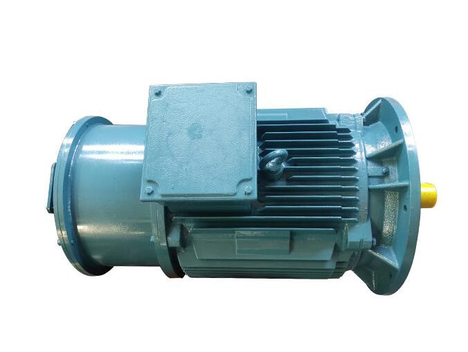 Y-H Series Three-Phase Marine Motors suppliers